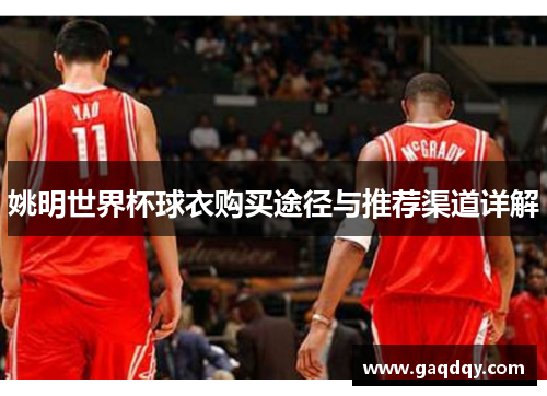 姚明世界杯球衣购买途径与推荐渠道详解