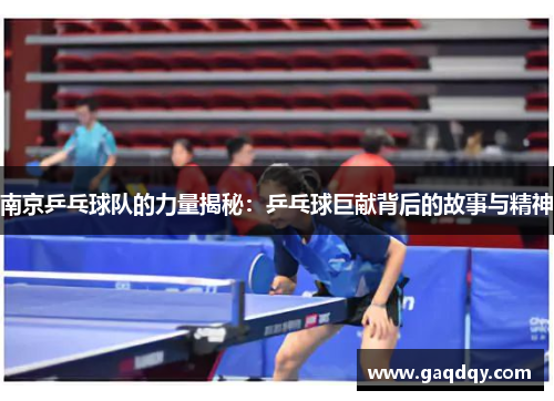 南京乒乓球队的力量揭秘：乒乓球巨献背后的故事与精神