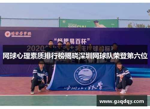 网球心理素质排行榜揭晓深圳网球队荣登第六位