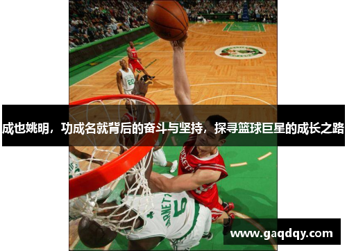 成也姚明，功成名就背后的奋斗与坚持，探寻篮球巨星的成长之路