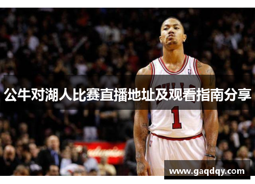 公牛对湖人比赛直播地址及观看指南分享