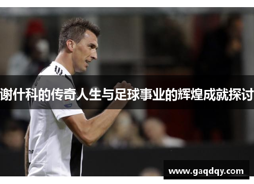 谢什科的传奇人生与足球事业的辉煌成就探讨